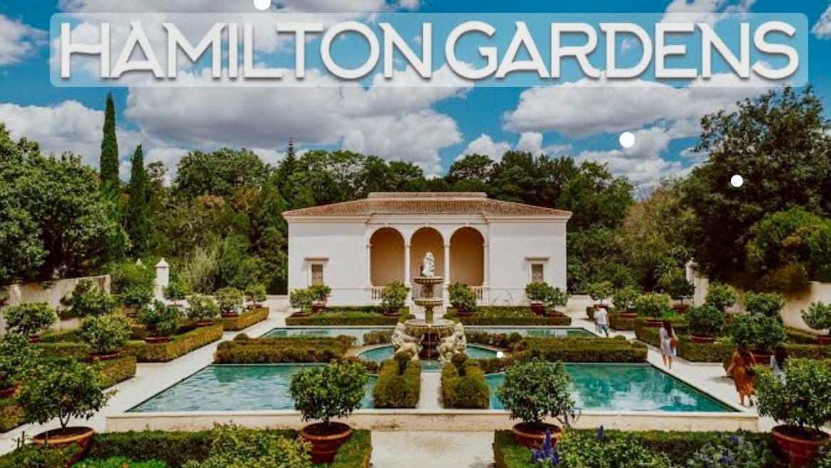 2 Bedroom Home Away From Home Near Cbd & Private Parking Hamilton Exteriér fotografie